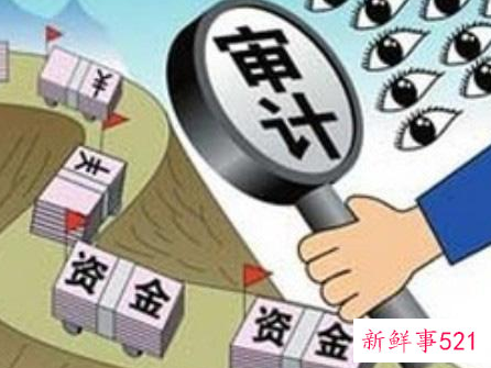 内部审计报告的内容