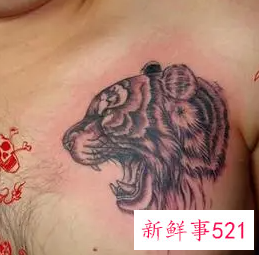 属虎的纹身纹什么旺财图片