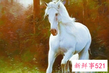 2022年马年财运怎么样