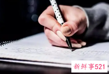 内部审计报告的内容