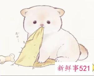 适合女生网名大全可爱