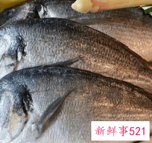 经常吃鱼有什么好处有什么坏处