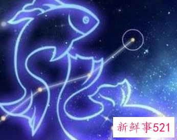 哪个星座对老婆最好