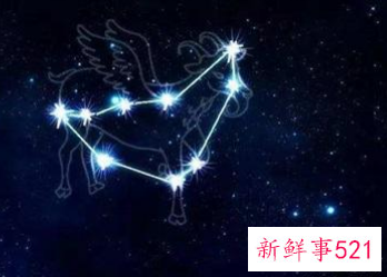 哪个星座对老婆最好