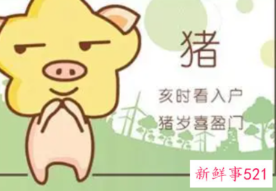 属猪女跟属蛇男可以结婚吗