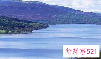 属虎的重大贵人