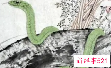 属蛇的几日出生最好命