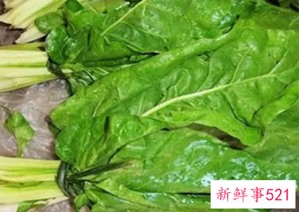 大叶菜的功效与作用禁忌