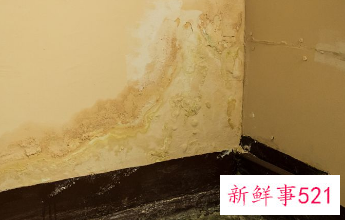 房间内墙渗水最简单的方法