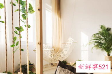 二十种适合室内养花