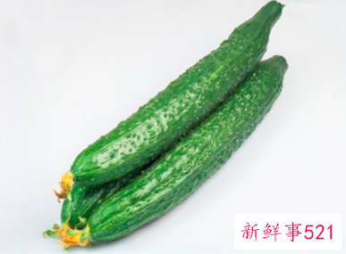 有利肾脏的食物