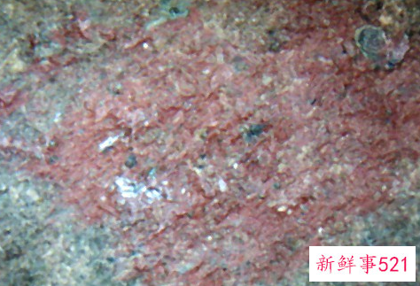 铜锈怎么去除方法