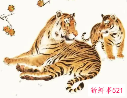 男人属虎女人属鸡相配吗