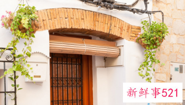 二十种适合室内养花