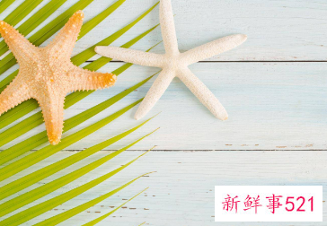 十二星座坏心眼排行榜