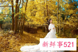 秋天适合拍的婚纱照风格