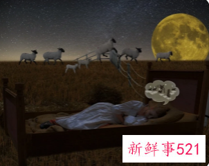 梦见在山上采野生的草药