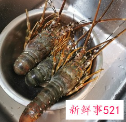 蒜蓉小青龙做法