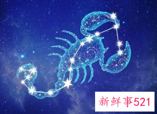 努力起来非常可怕的星座女