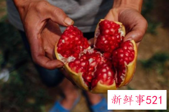 常吃石榴的好处和坏处