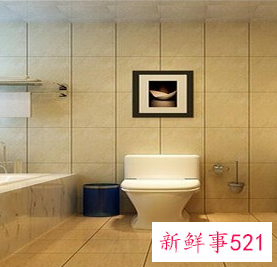 家用卫浴的选择技巧