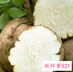 茯苓和葛根泡水喝的功效和作用