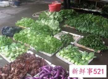 菜价还会一直上涨吗