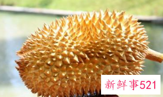 榴莲的七大禁忌和功效