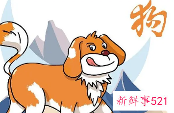 2022年下半年属狗发大财