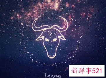 豪门贵妇命的星座女