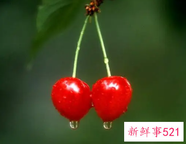 8种平价抗衰老水果