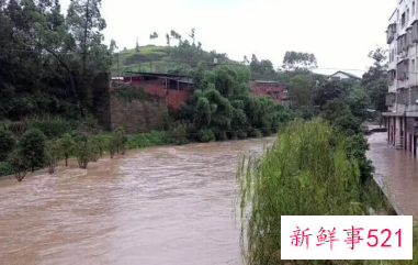 梦见河水上涨的周公解梦