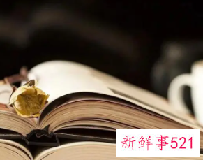 形容文化丰富多彩的成语