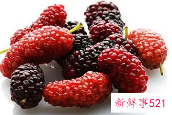 最好的壮阳水果排行榜