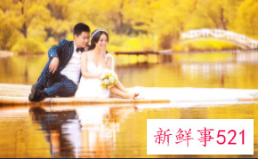 秋天适合拍的婚纱照风格