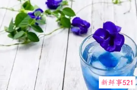 蝶豆花茶的功效与作用