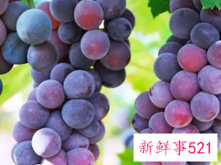 最好的壮阳水果排行榜