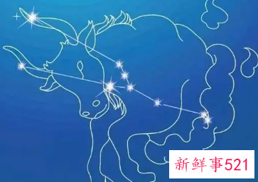 豪门贵妇命的星座女