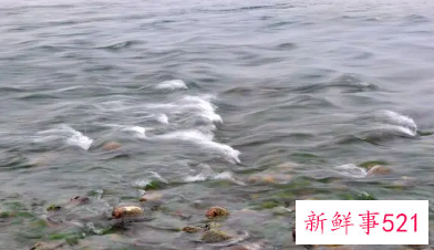 梦见河水上涨的周公解梦