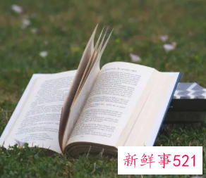 形容文化丰富多彩的成语