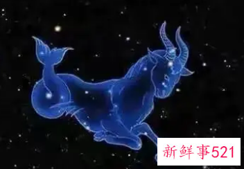 女摩羯座2022年运势