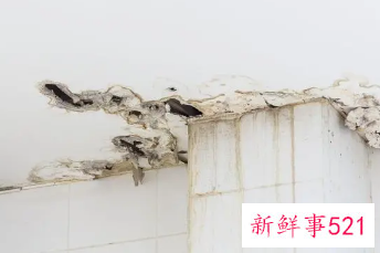 房间内墙渗水最简单的方法