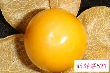 姑鸟水果的营养价值