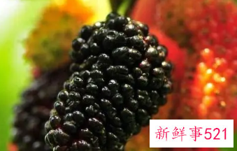 最好的壮阳水果排行榜