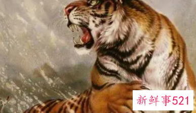 74年属虎吉利数字