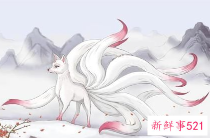 梦见白色九尾狐是什么意思