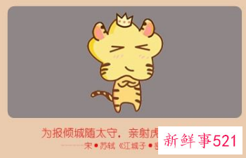 属虎今年桃花运势如何