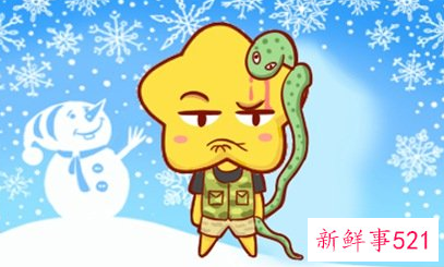 一床能不能两个属蛇