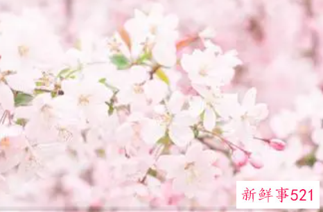 如何高情商回复