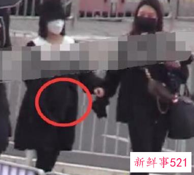 谢娜携4档新综正式复出，8月份回归《快本》